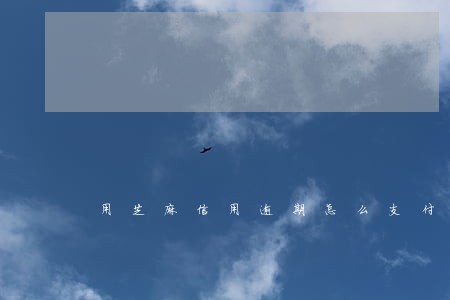 用芝麻信用逾期怎么支付