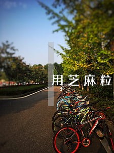 用芝麻粒解除逾期 用芝麻粒解除逾期