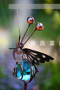 用蔬菜制作国旗违法么 用蔬菜制作国旗违法么