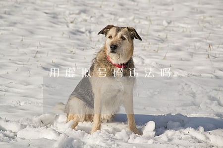 用虚拟号码违法吗 用虚拟号码违法吗