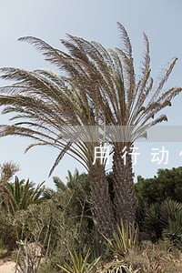 用行动传递法律温度 用行动传递法律温度