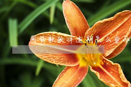 用贷款软件逾期怎么查征信 用贷款软件逾期怎么查征信