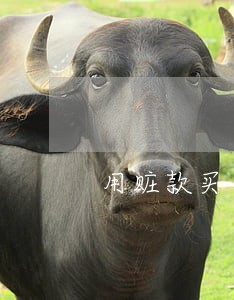用赃款买车逾期 用赃款买车逾期