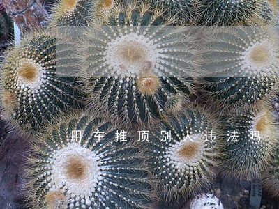 用车推顶别人违法吗