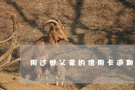 用过世父亲的信用卡逾期 用过世父亲的信用卡逾期
