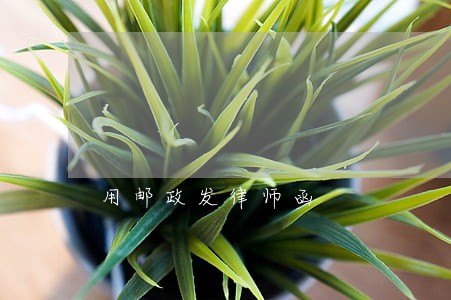 用邮政发律师函