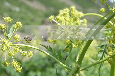 用鑫旺女装做店名违法吗