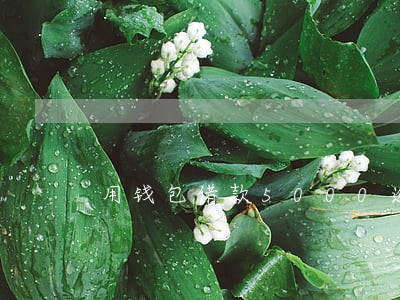 用钱包借款5000逾期不还