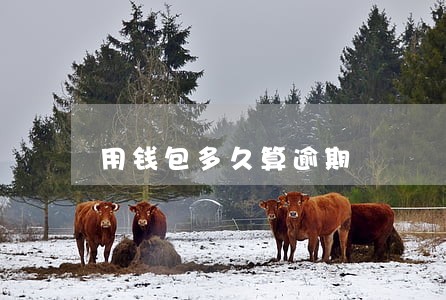 用钱包多久算逾期 用钱包多久算逾期