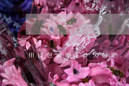 用钱包逾期40天贴吧 用钱包逾期40天贴吧