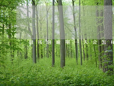 用钱包逾期一天会怎样