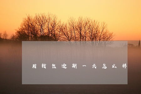 用钱包逾期一天怎么样 用钱包逾期一天怎么样