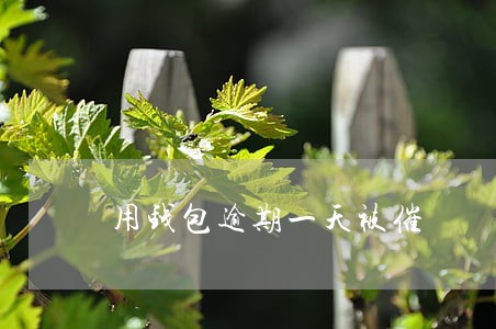 用钱包逾期一天被催 用钱包逾期一天被催