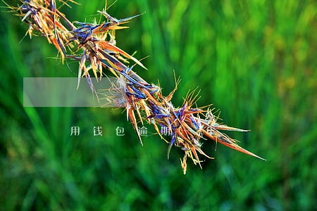 用钱包逾期一年 用钱包逾期一年