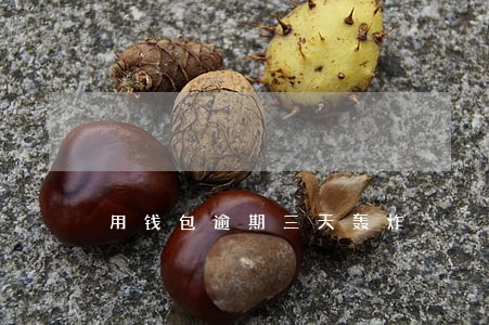用钱包逾期三天轰炸