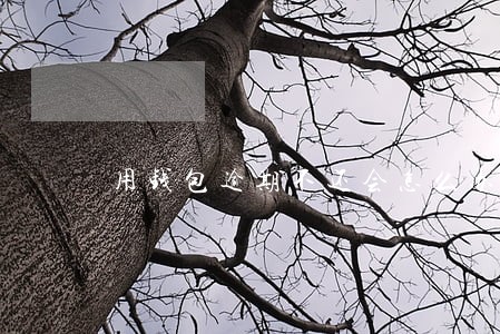 用钱包逾期不还会怎么办