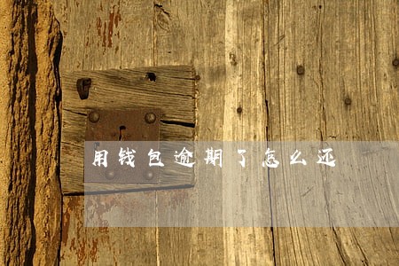 用钱包逾期了怎么还