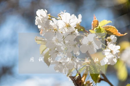 用钱包逾期会上征信吗 用钱包逾期会上征信吗