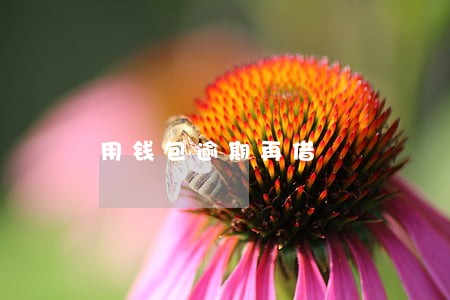 用钱包逾期再借 用钱包逾期再借