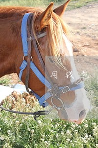 用钱包逾期几天轰炸