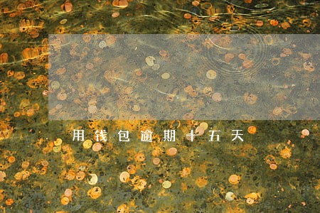 用钱包逾期十五天
