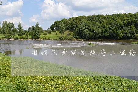 用钱包逾期发短信上征信