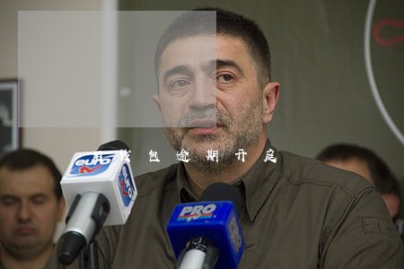 用钱包逾期开庭