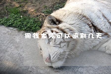 用钱大师可以逾期几天 用钱大师可以逾期几天