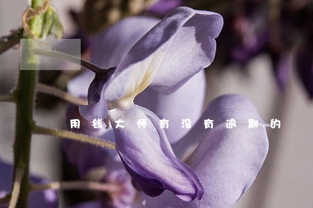 用钱大师有没有逾期的