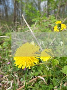 用钱大师逾期11点 用钱大师逾期11点