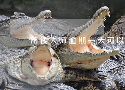 用钱大师逾期一天可以吗