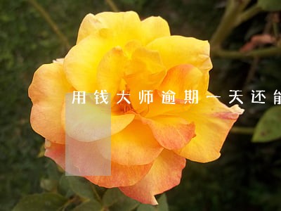 用钱大师逾期一天还能借吗 用钱大师逾期一天还能借吗