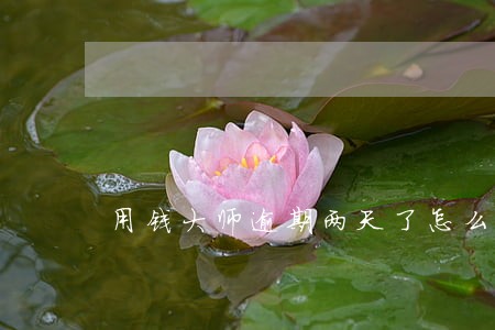 用钱大师逾期两天了怎么办 用钱大师逾期两天了怎么办