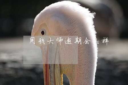 用钱大师逾期会怎样 用钱大师逾期会怎样