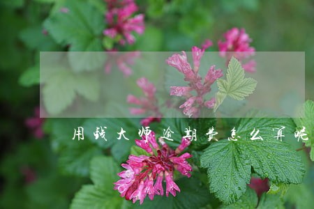 用钱大师逾期费怎么算呢 用钱大师逾期费怎么算呢