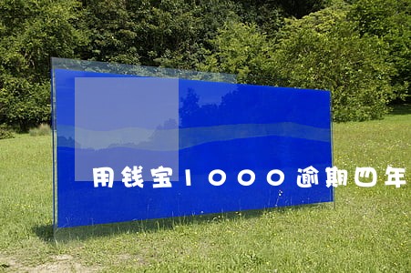 用钱宝1000逾期四年 用钱宝1000逾期四年