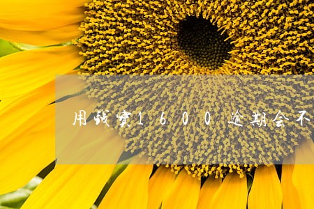 用钱宝1600逾期会不会有事 用钱宝1600逾期会不会有事
