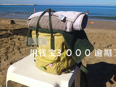 用钱宝3000逾期了三期