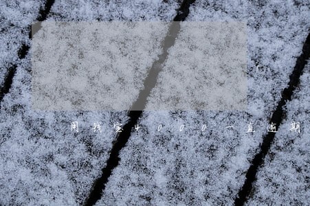 用钱宝4000一直逾期 用钱宝4000一直逾期