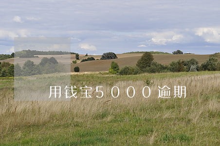 用钱宝5000逾期 用钱宝5000逾期