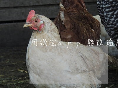 用钱宝app能改逾期金额吗