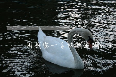 用钱宝一千块钱逾期4天 用钱宝一千块钱逾期4天