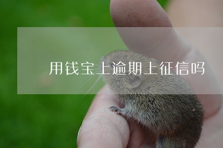 用钱宝上逾期上征信吗 用钱宝上逾期上征信吗