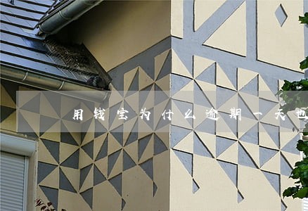 用钱宝为什么逾期一天也不行 用钱宝为什么逾期一天也不行