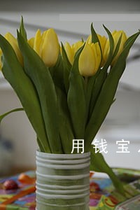 用钱宝从未逾期却放款失败 用钱宝从未逾期却放款失败
