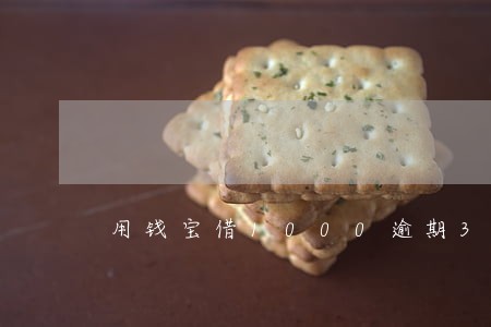 用钱宝借1000逾期3年 用钱宝借1000逾期3年