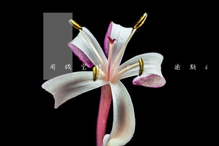 用钱宝借7000逾期60天 用钱宝借7000逾期60天