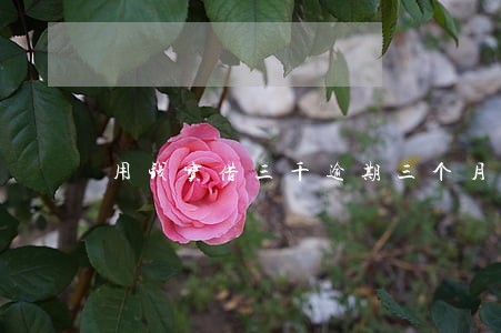 用钱宝借三千逾期三个月 用钱宝借三千逾期三个月