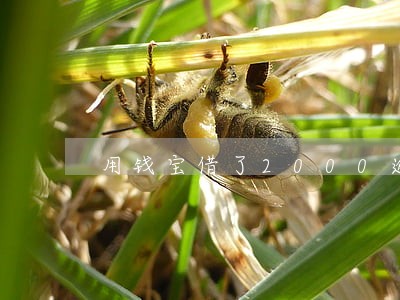 用钱宝借了2000逾期两年了 用钱宝借了2000逾期两年了