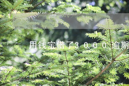 用钱宝借了3000逾期了 用钱宝借了3000逾期了
